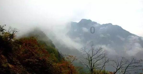 聊城高新人才发展集团入选山东省小型微型企业创业创新示范基地