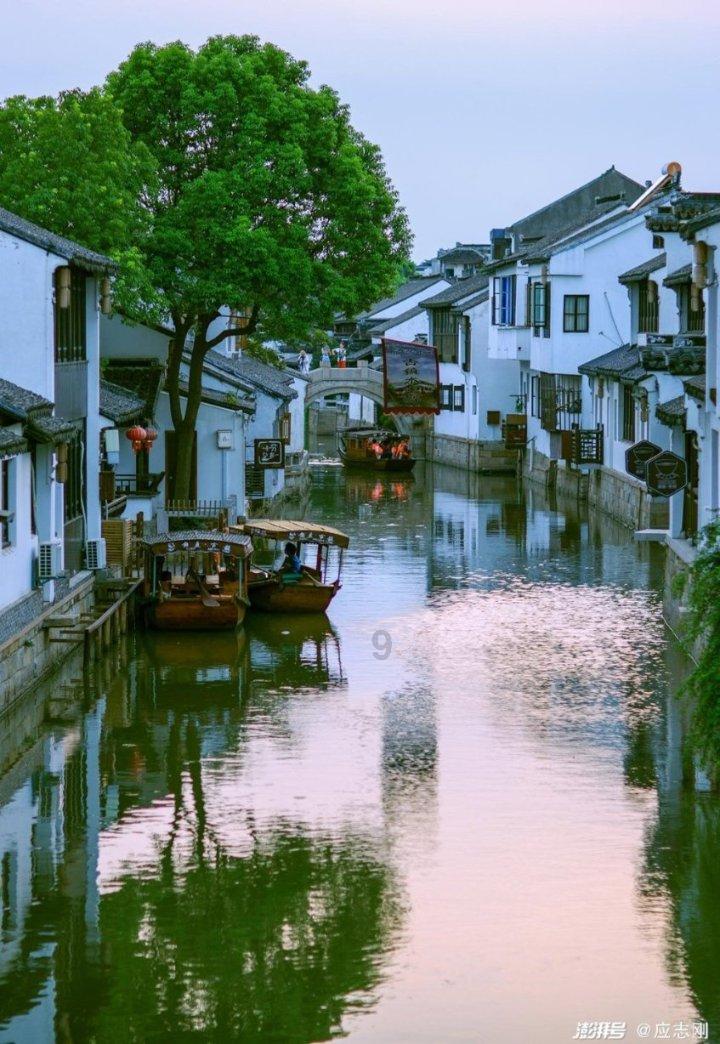 这4种食物比“地沟油”还脏是真的吗？答案或许会让你想吐