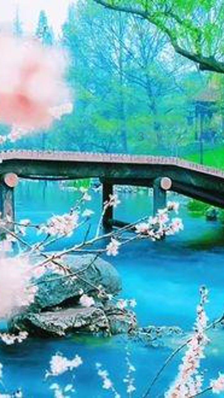 丽江首家!古城区公安民警心理服务工作站工作成效显著